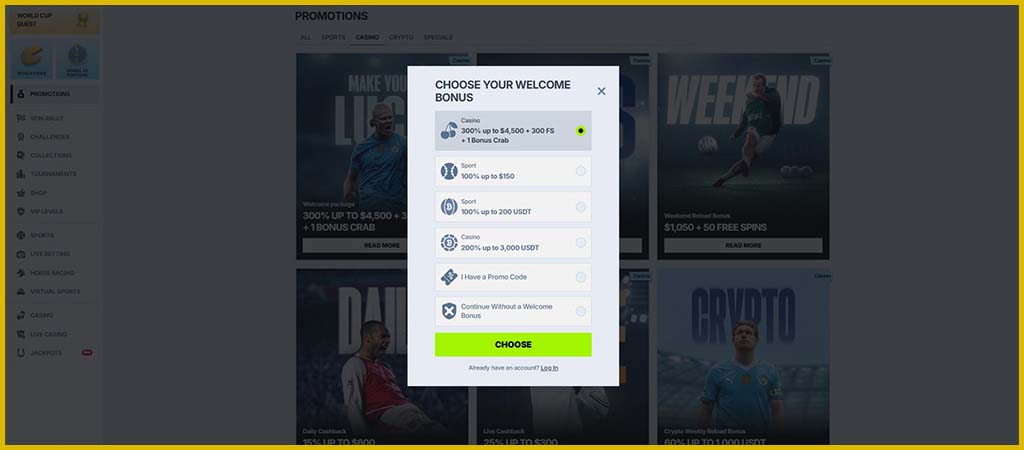Registration and Login Process